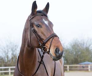 Horze: Horze Venice Bridle