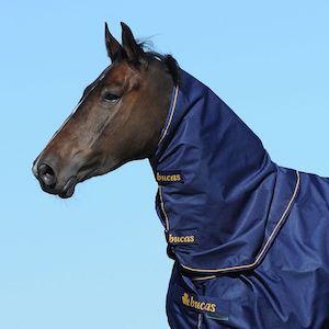 Rug Sale: Bucas Irish Turn Out Neck Cover