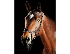 Saddlery Stable Equipment Sale: Collegiate ComFiTec Daina Bridle