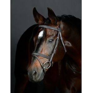 Collegiate ComFiTec Opulux Fancy Stitch Padded Hanoverian Bridle