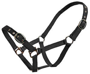 Blue Tag Webbing Halter