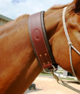 Lunging Training: HP Tying Up Collar