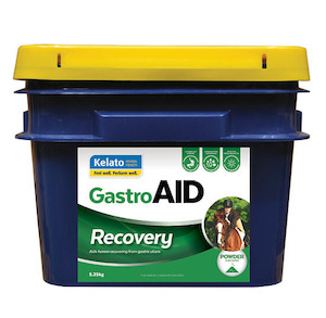 Horse Health: Kelato GastroAID Recovery