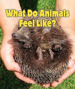 What Do Animals Feel Like?