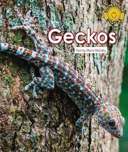 Books: Geckos