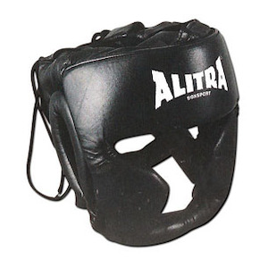 Sporting equipment: Headguard And Cheekbone Protector