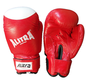 Boxing Gloves 8 – 12 oz Red->White