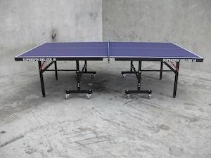 Super Spin Deluxe 18 Table Tennis Table