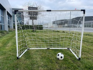 Soccer Goal, with ball, pump and pegs