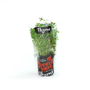 Products: Thyme