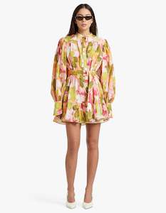 Clothing: Abbeywood Mini Dress - Cameila Posy