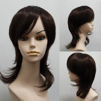 Synthetic Medium Long Straight Wig S&F219