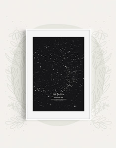 Pet: The Night Sky