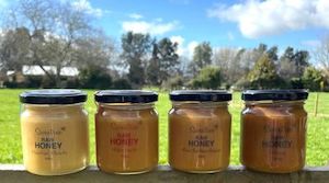 Specialist medical practitioner: Sale Raw Honey - 250g x 4