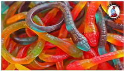 Confectionery: Pythons