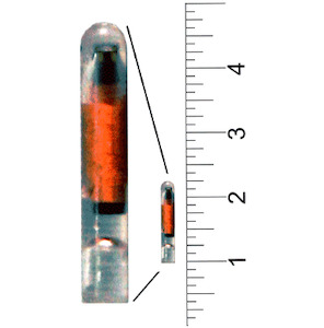 13mm Bio Polymer ISO FDX-B FUSION PIT Tag