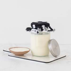 Viili Yogurt Kit