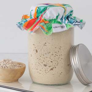 Organic Gluten-free Sourdough Starter Kit