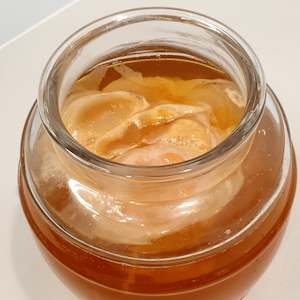 Large Jun Kombucha SCOBY