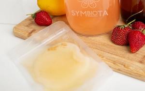 JUN kombucha SCOBY (Organic)