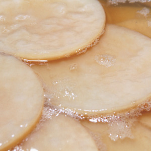 Health: Kombucha SCOBY Organic