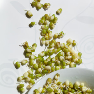 Sprouting Seeds Mung Beans 100g