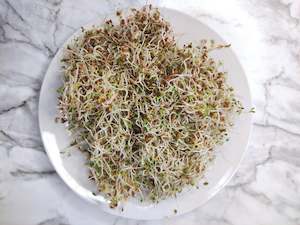 Sprouting seeds- Organic Alfalfa Sprouts 100g