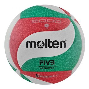 Molten Volleyball V5M5000