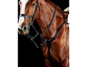 Collegiate 3 Point Breastplate tackshop.co.nz