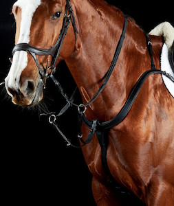 Clothing: Collegiate Comfitec 3 Point Breastplate tackshop.co.nz