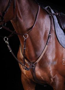 Collegiate Elastic Event Breastplate tackshop.co.nz