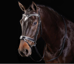 Collegiate V Shaped Diamante Bridle tackshop.co.nz