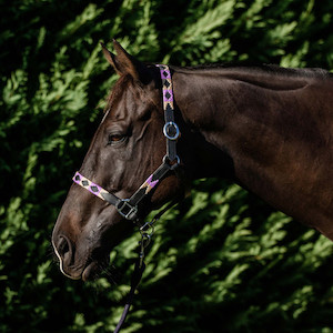 Double Hill Leather Polo Halter tackshop.co.nz