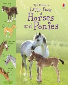 Direct: Little Book of Horses and Ponies