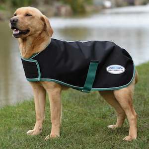 Direct: Weatherbeeta Green-Tec 900D Dog Coat (220g)