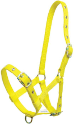 Zilco Foal Halter