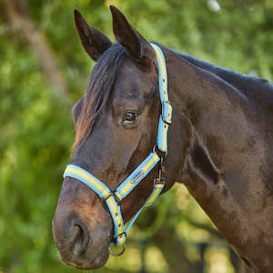 Weatherbeeta Co-ordinate Head Collar