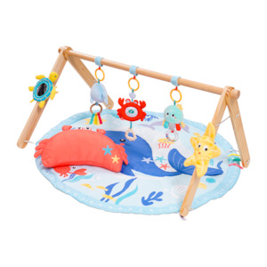 Jollybaby Wooden Baby Play Gym with Soft Play Mat