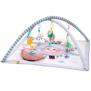 Jollybaby 4-in-1 Milestones & Memories Twist & Fold Gym with Music