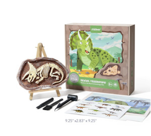 Toy: Triceratops Dino Fossil Dig Kit