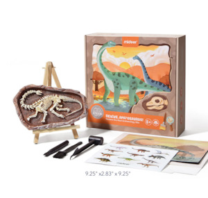 Brontosaurus Dino Fossil Dig Kit