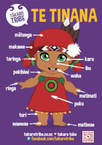 Infant clothing: Pānui Whakaahua (Posters) x 3