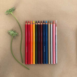 Toy: MERCURIUS WATERCOLOUR PENCILS