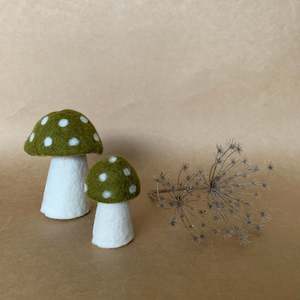 DOTTY MUSHROOM ~ ANISE ~ MUSKHANE