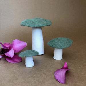 Toy: MUSHROOM ~ TENDER GREEN ~ MUSKHANE