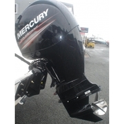 Products: Mercury 150hp