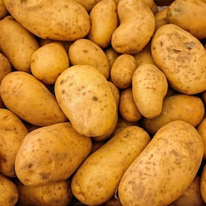 Agria Potatoes