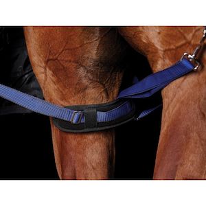 Weatherbeeta Padded Leg Straps