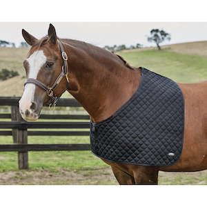 Rug Accessories: Weatherbeeta Deluxe Shoulder Guard