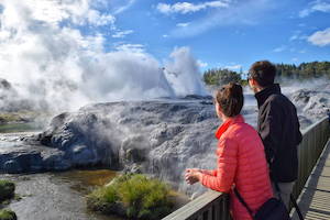 Amazing Te Puia Geysers